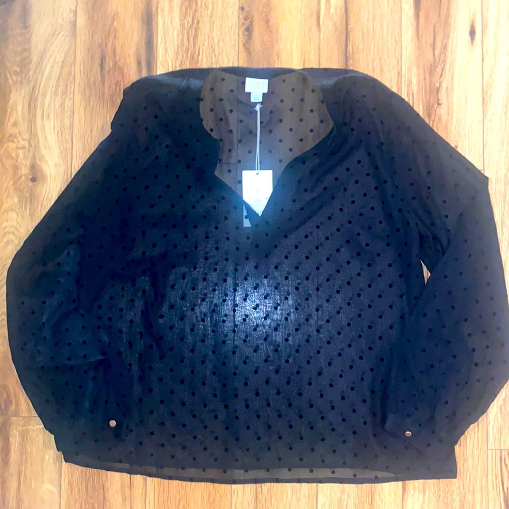 Women’s A New Day sheer long sleeve blouse